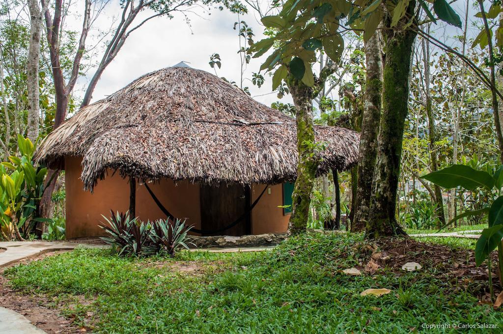 El Colombre Villa Паленке Стая снимка